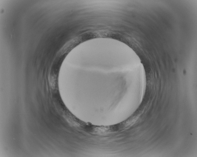 X0000060570139200512011717
