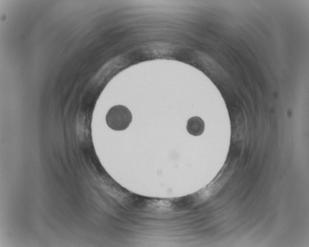 X0000060570140200512011717