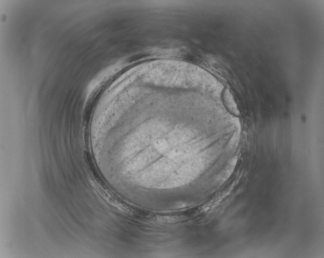 X0000060570149200512011716
