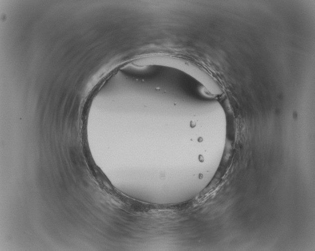 X0000060570150200512011716