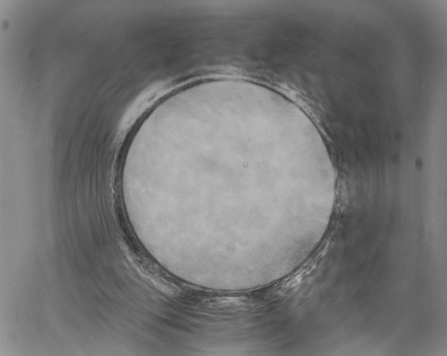 X0000060570151200512011716