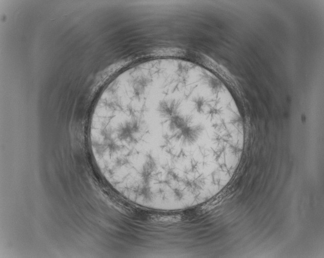 X0000060570155200512011716