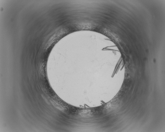 X0000060570162200512011716