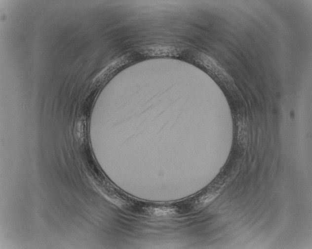 X0000060570165200512011716
