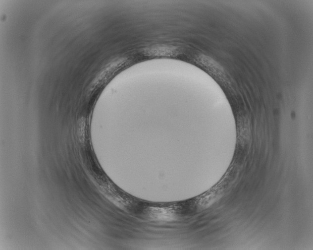 X0000060570167200512011716
