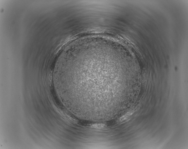 X0000060570168200512011716