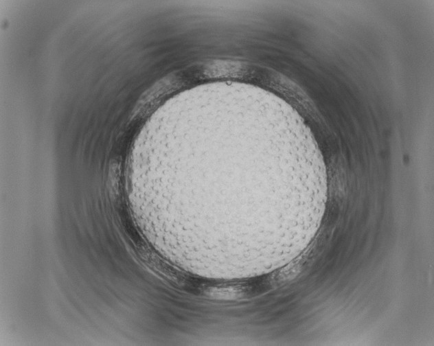 X0000060570171200512011716