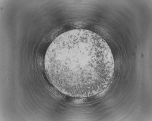 X0000060570178200512011717