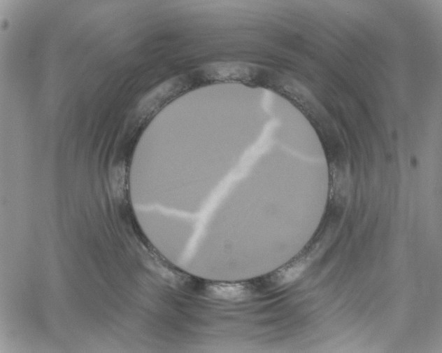 X0000060570189200512011717