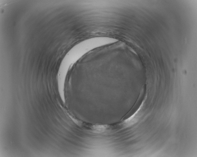 X0000060570192200512011717