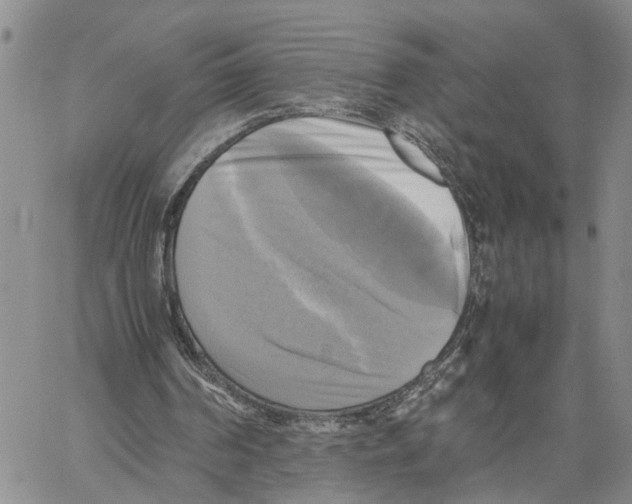 X0000060570194200512011716