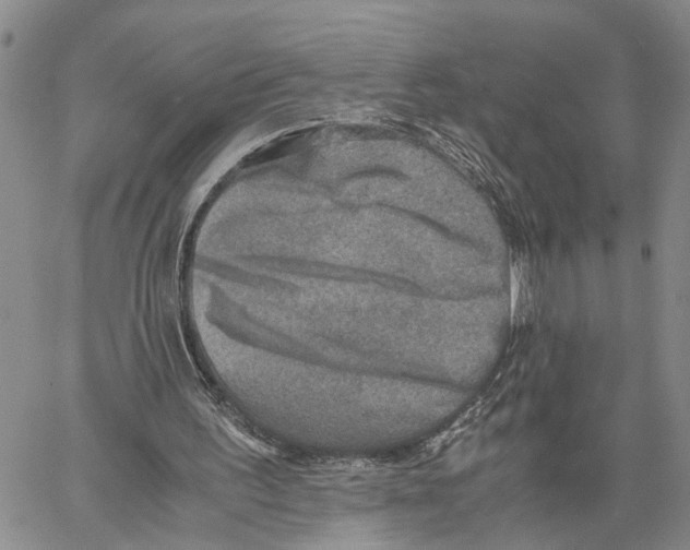 X0000060570195200512011716