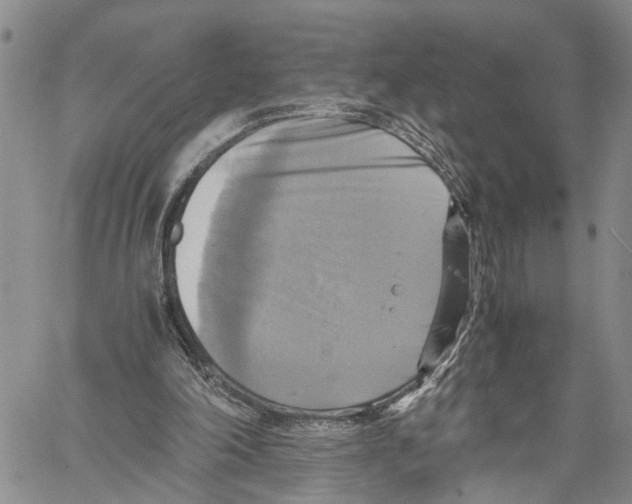 X0000060570198200512011716