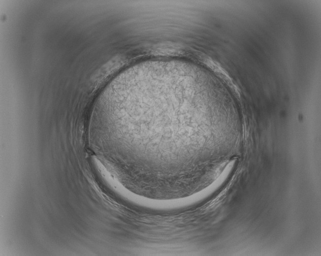 X0000060570201200512011716