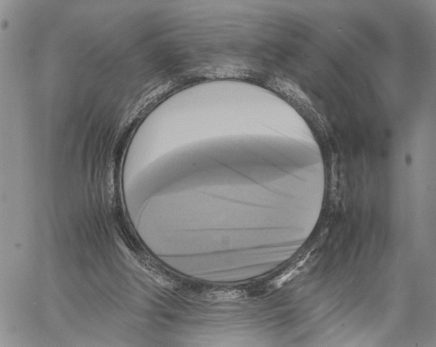 X0000060570202200512011716