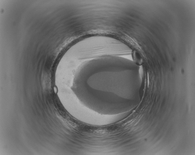 X0000060570204200512011716