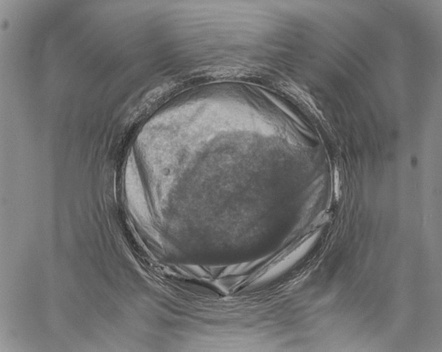 X0000060570205200512011716