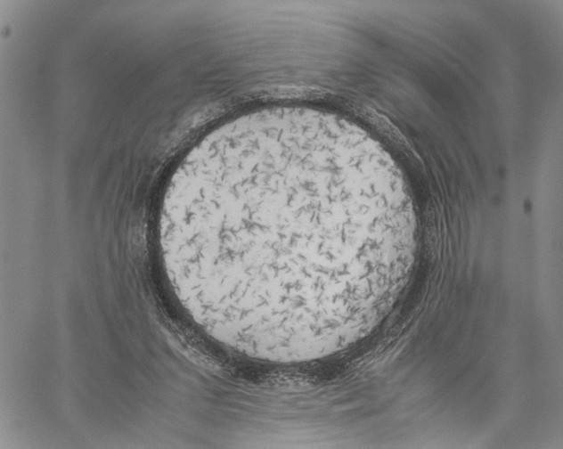 X0000060570207200512011716