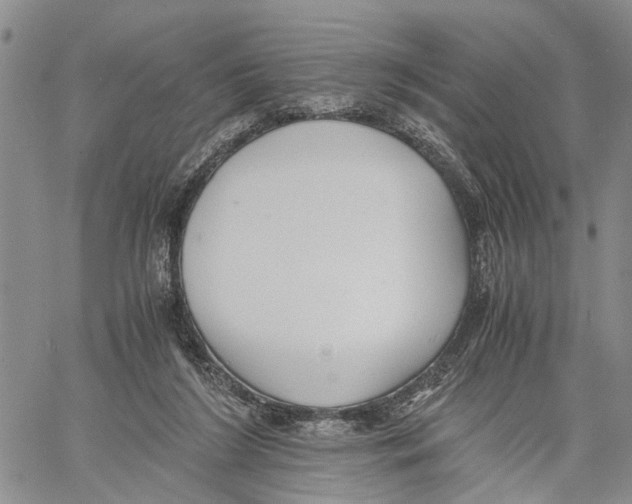 X0000060570212200512011716