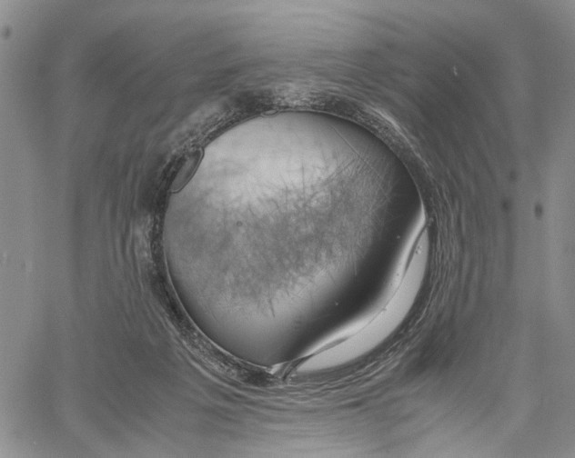 X0000060570217200512011716