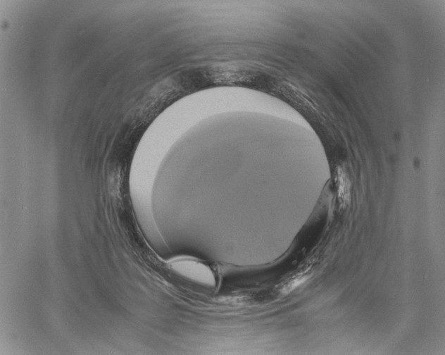 X0000060570219200512011716