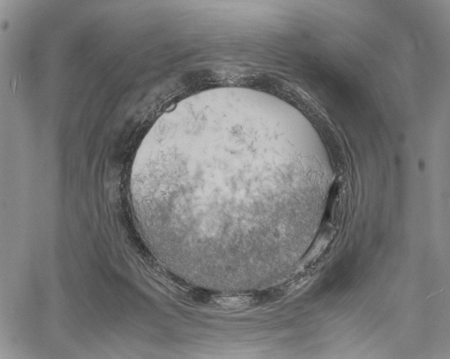 X0000060570221200512011715