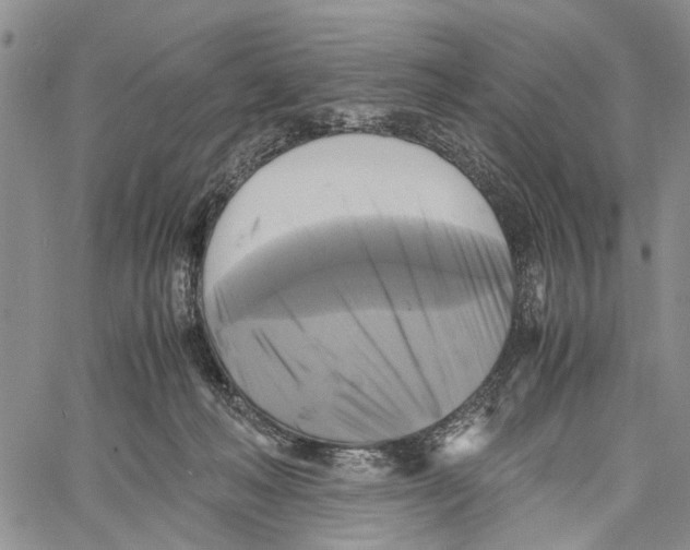 X0000060570222200512011715