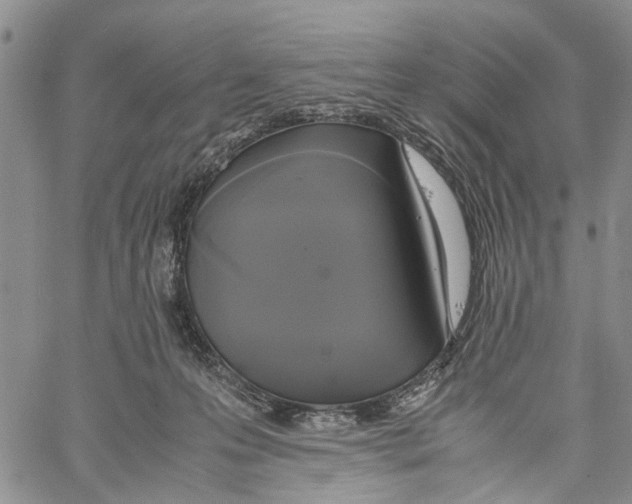 X0000060570223200512011715