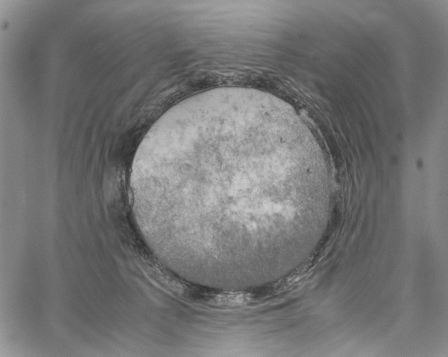X0000060570225200512011715