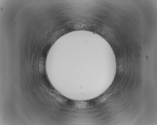 X0000060570226200512011715