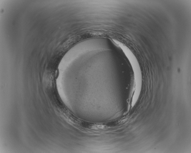 X0000060570227200512011715