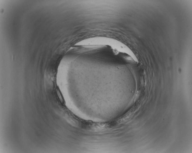 X0000060570235200512011715