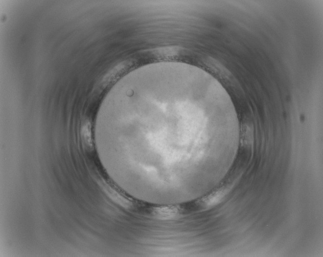 X0000060570238200512011715