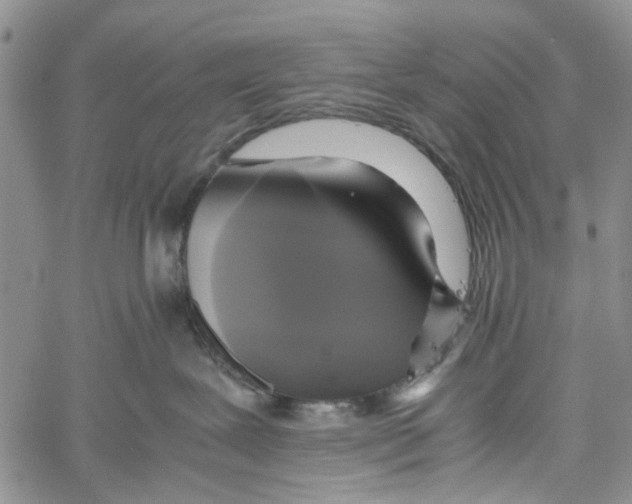 X0000060570239200512011715
