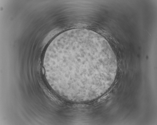 X0000060570242200512011714