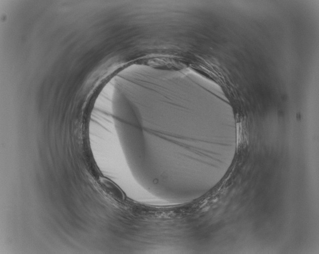 X0000060570243200512011714