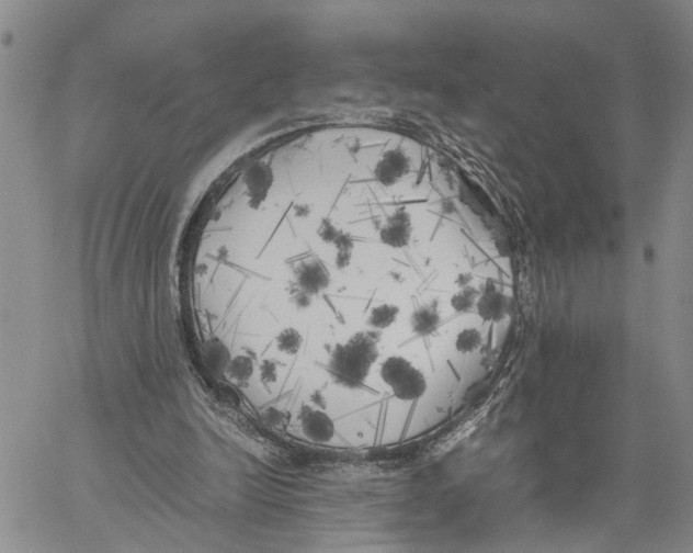 X0000060570246200512011714