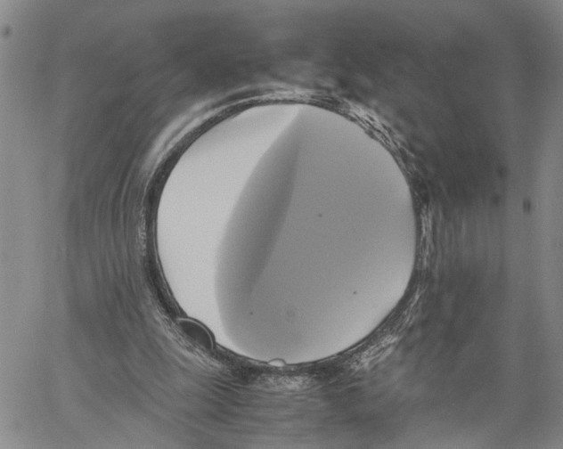 X0000060570247200512011714