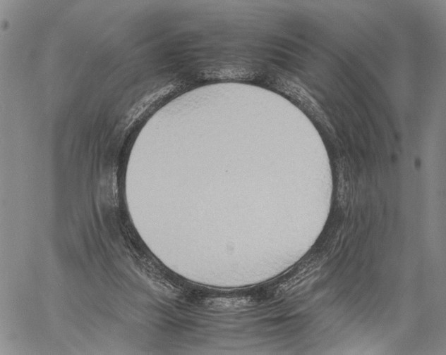 X0000060570251200512011715