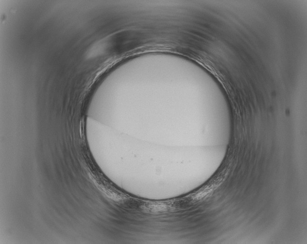 X0000060570253200512011715
