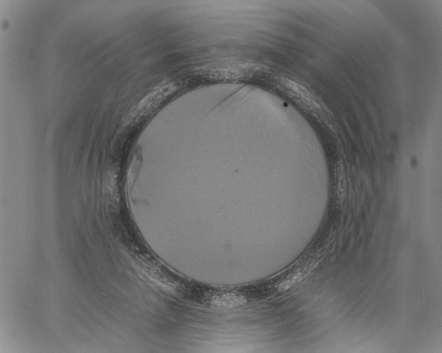 X0000060570258200512011715