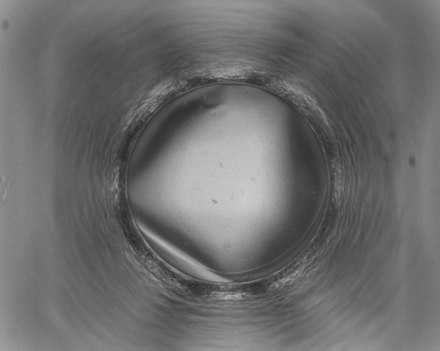 X0000060570260200512011715