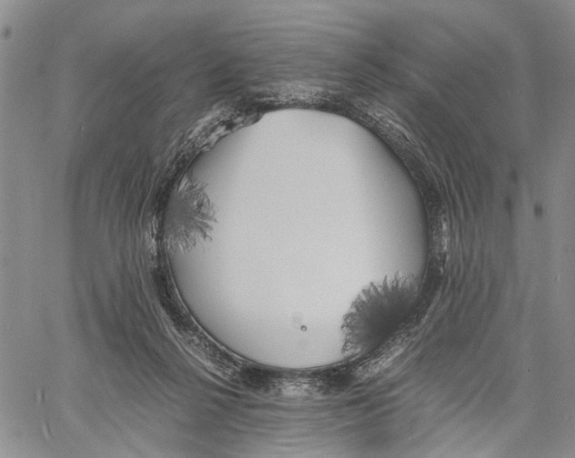 X0000060570264200512011715