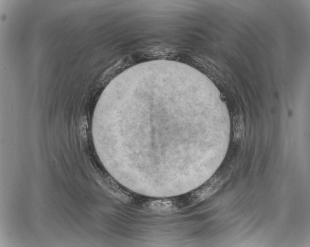 X0000060570279200512011715