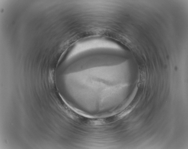X0000060570286200512011715