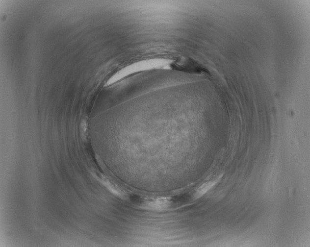 X0000060570288200512011715