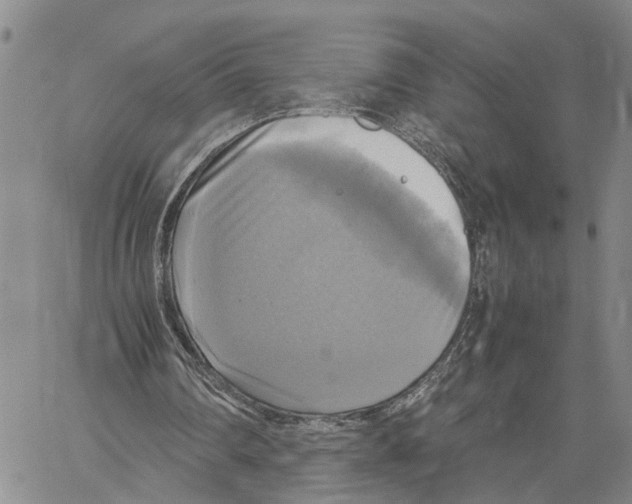 X0000060570290200512011714