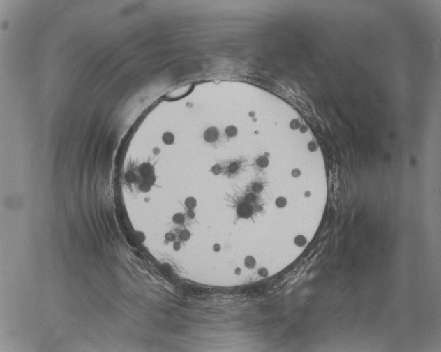 X0000060570292200512011714
