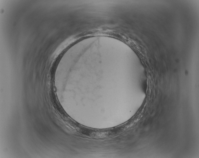 X0000060570295200512011714