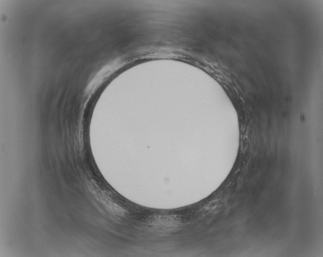 X0000060570296200512011714